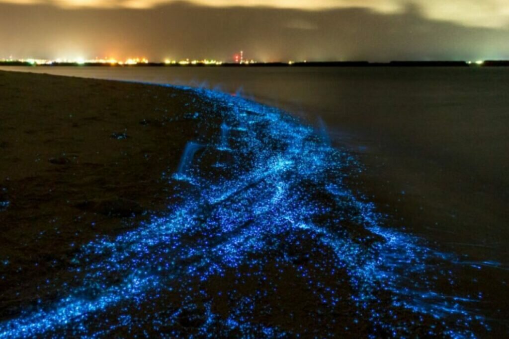 La Plage Nuit étoilée