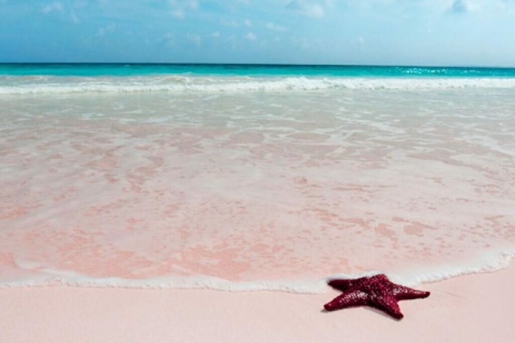 Pink Sand Beach