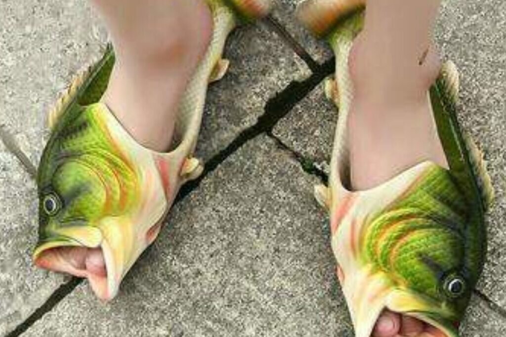 Chaussures Poisson