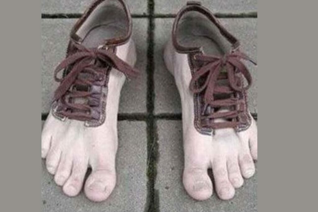 Les Chaussures Pied