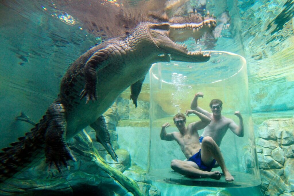 Parc Crocosaurus Cirque
