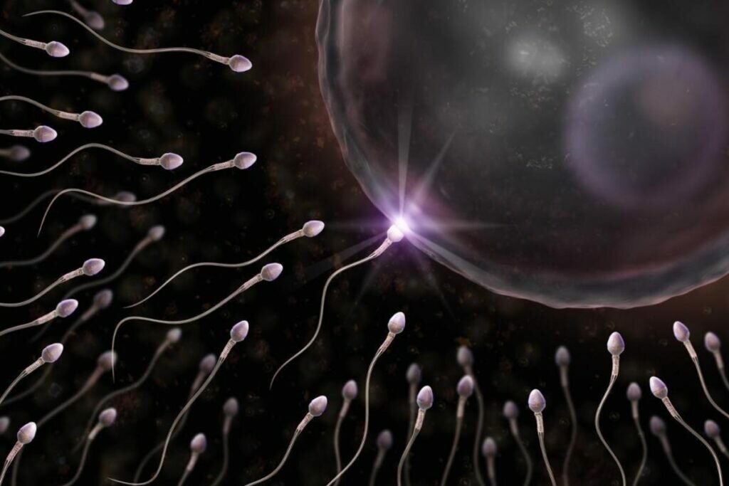 Spermatozoides