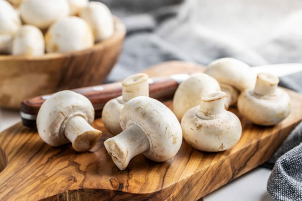 Les Champignons