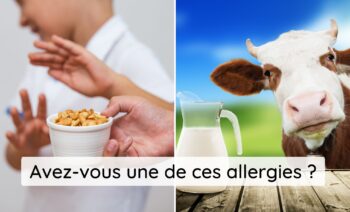 Top 5 Des Allergies Alimentaires Les Plus Courantes