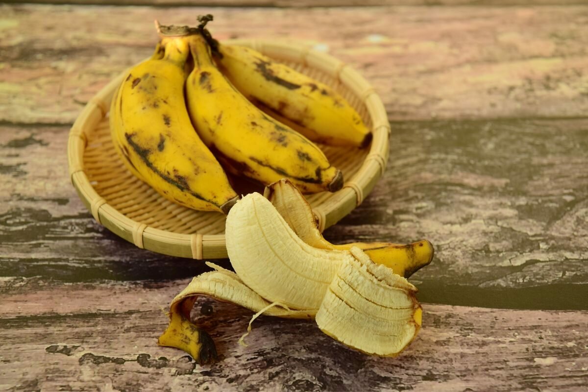 Bananes Latundan