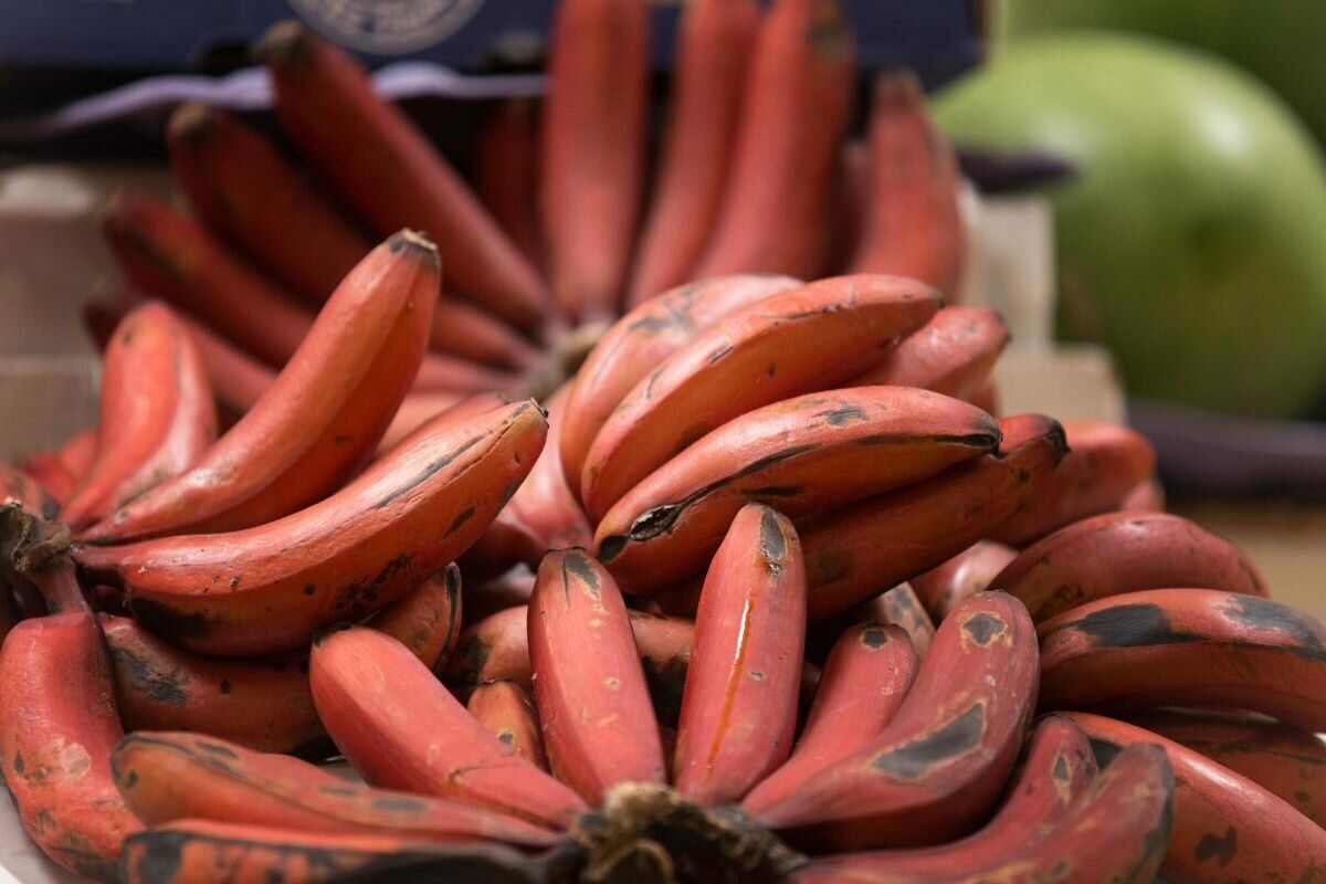 Bananes Rouges