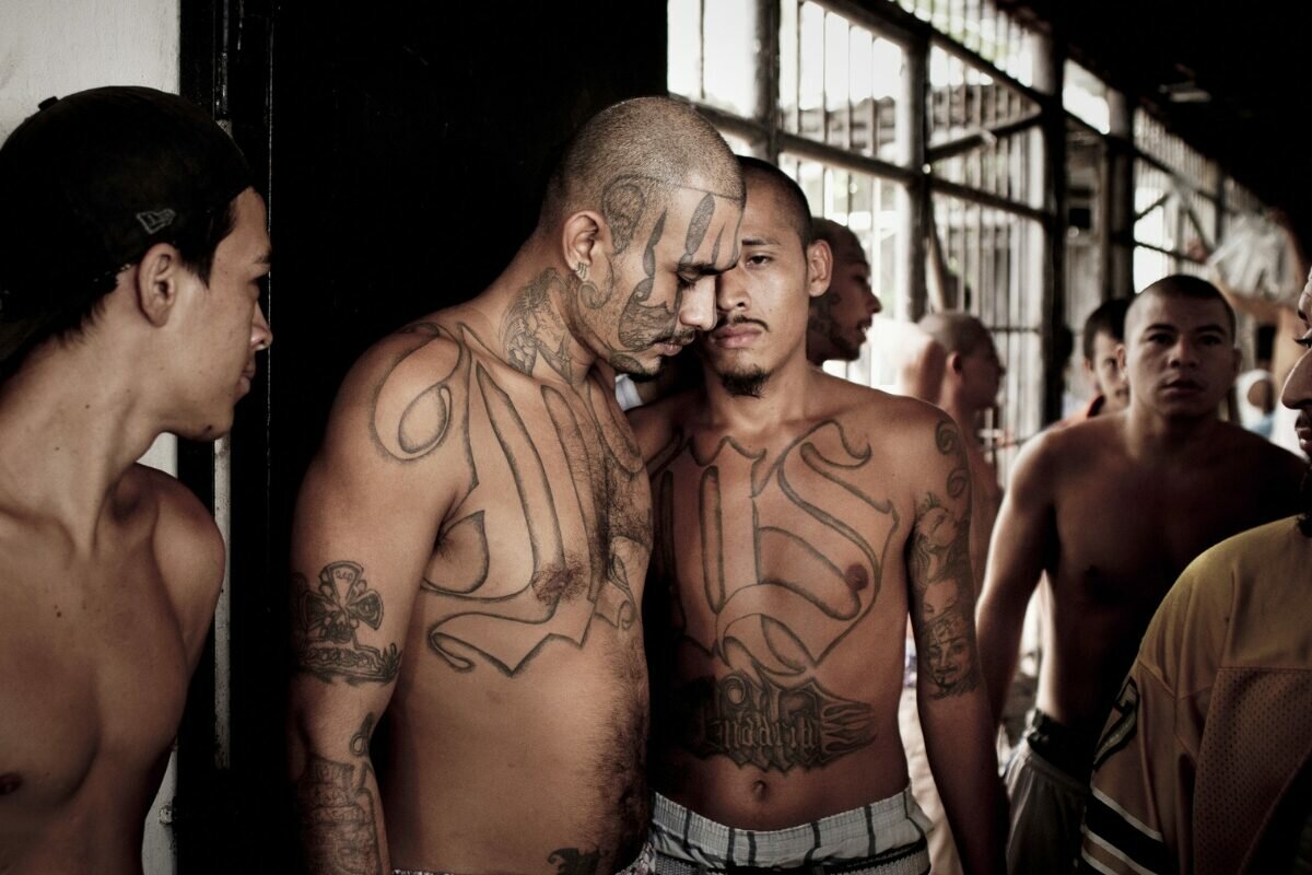 Les Gangs Du Ms 13