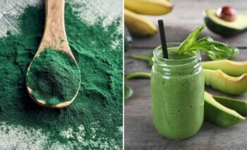Top 5 Des Bienfaits De La Spiruline