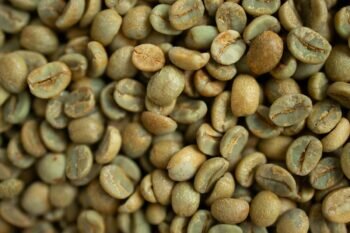 Cafe Vert Quels Sont Les Bienfaits Et Comment En Profiter