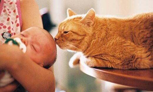 Insolite : son mari veut donner à leur bébé le nom de leur chat, elle demande de l'aide