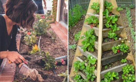 Top 5 Des Raisons De Vous Mettre Au Jardinage